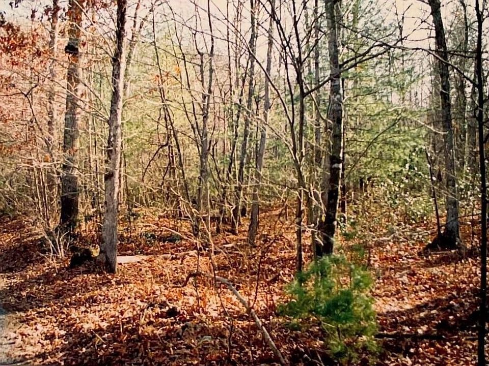 1st image of 9880 Wolf Trap Ln