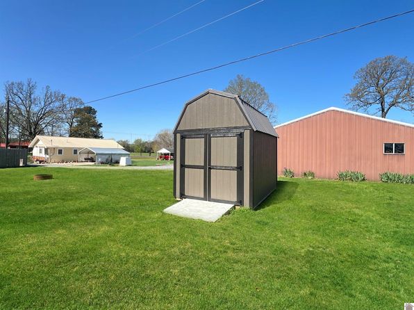 51 Shade Tree Ln, Farmington, KY 42040
