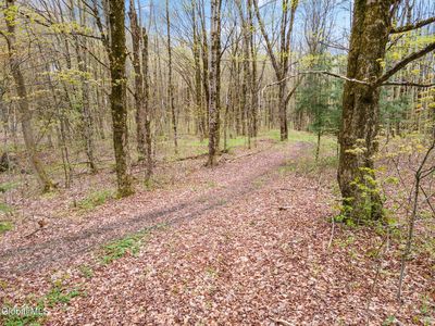 L15 Kostenko Sutton Road, Pitcher, NY, 13136
