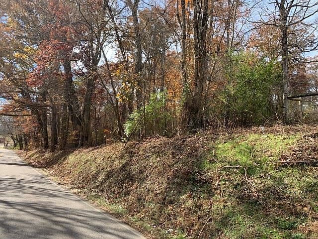 2nd image of Old White Pine Rd
