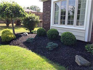2nd image of 31 Crownland Cir