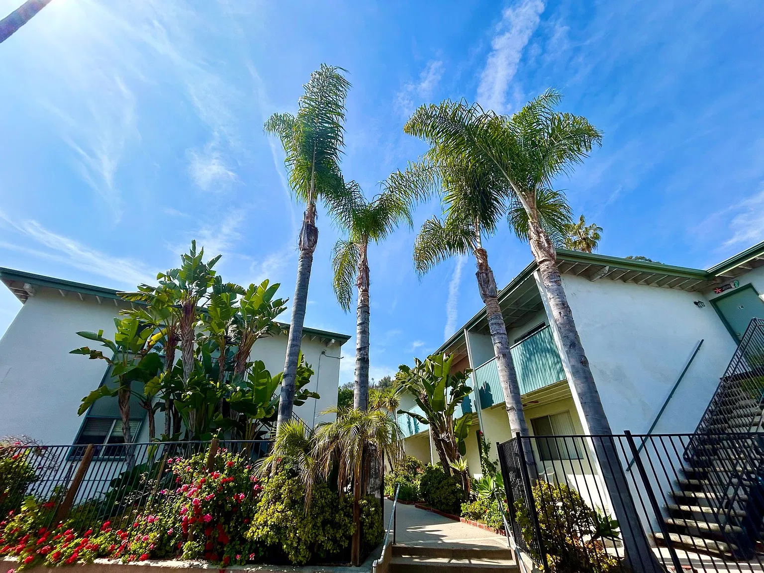 239 - E. Jerald Haws Revocable Family Trust (Eucalyptus) — Photo 1