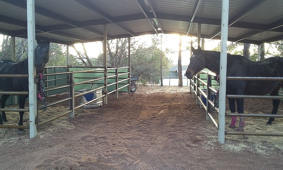 New 4 stall barn