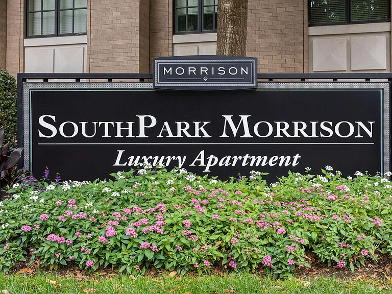 SouthPark Morrison — Photo 33