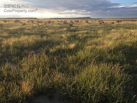 3rd image of 37900 Us Highway 350