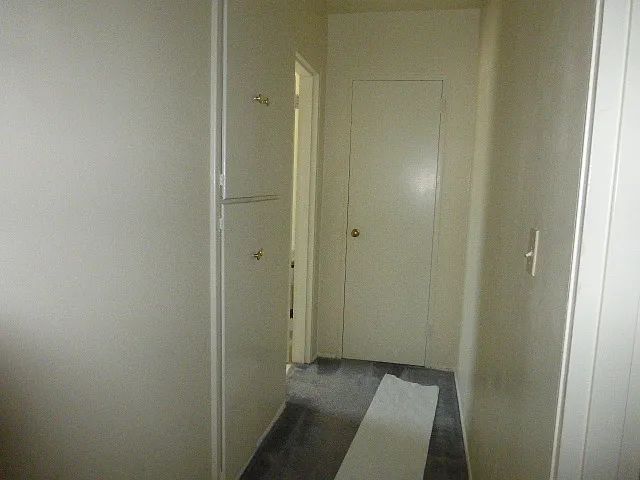 Hallway extra storage closet and hallway linen closet/shelves.