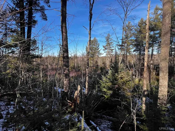 Off County Road Aah Rd, Ishpeming, MI 49849