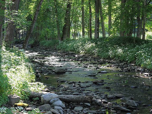 3rd image of 6000 State Highway 80