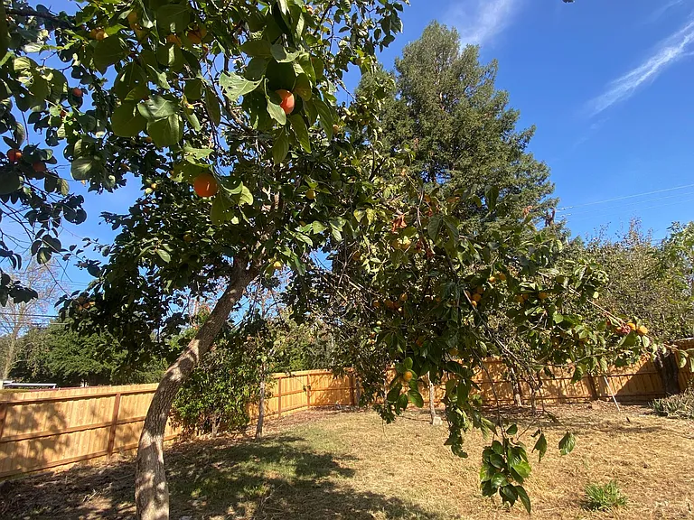 7349 Cross Dr — Photo 32