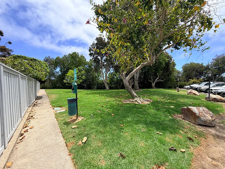 8053 Caminito Gianna — Photo 27