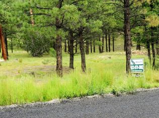 3554 Starlight Dr, Happy Jack, AZ 86024