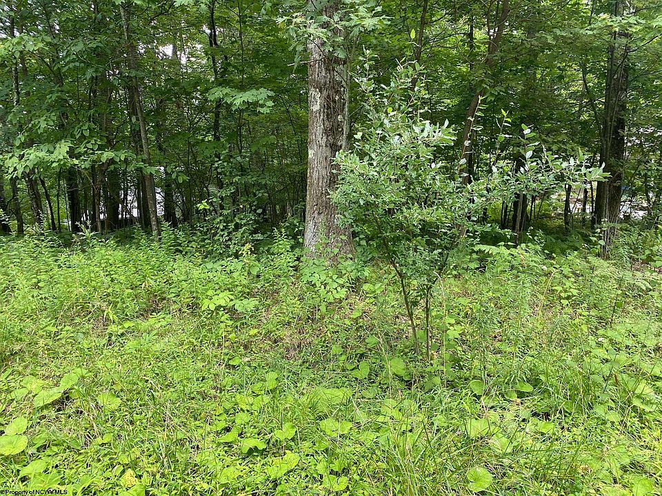 2nd image of 72 Oak Grv