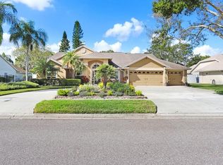 16906 Equestrian Trl, Odessa, FL 33556