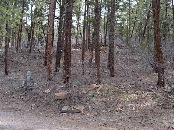 4th image of 286 Fawn Dr