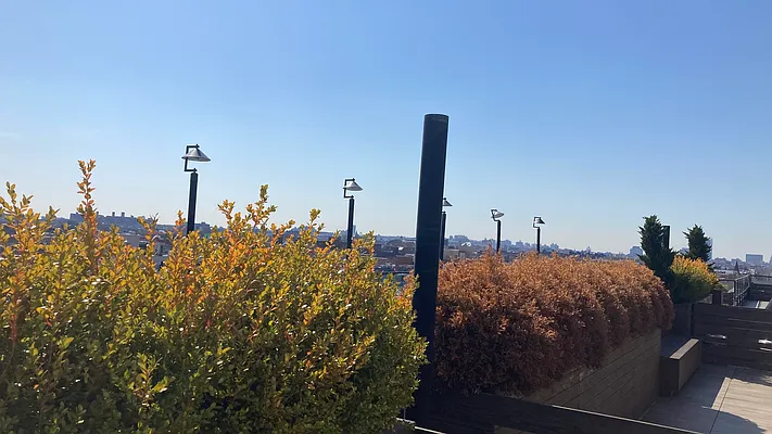 Rented by Nooklyn NYC LLC | media 35