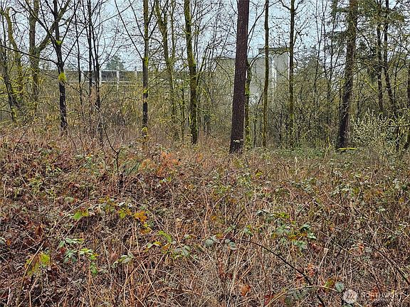 3rd image of 13036 188th Avenue SW #B