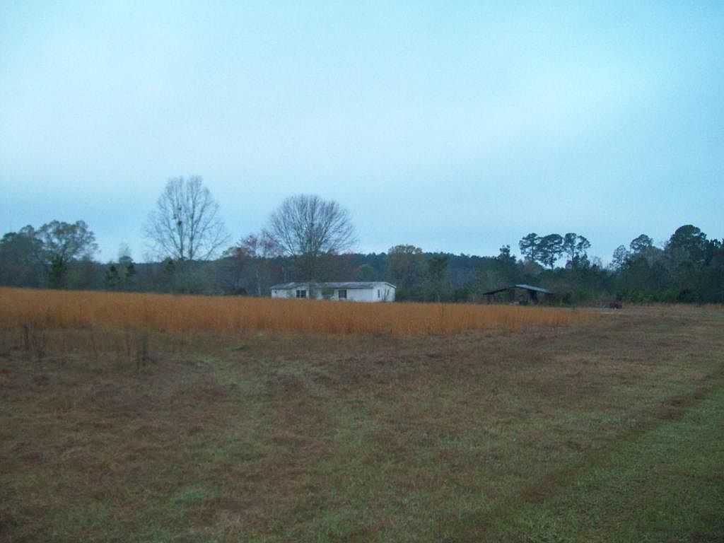 2066 Vinson Rd, Meigs, GA 31765 Zillow