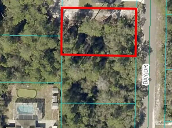 0 Bay Dr #19, Ocklawaha, FL 32179
