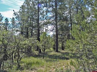 LOT 561 Marten Ct, Ridgway, CO 81432