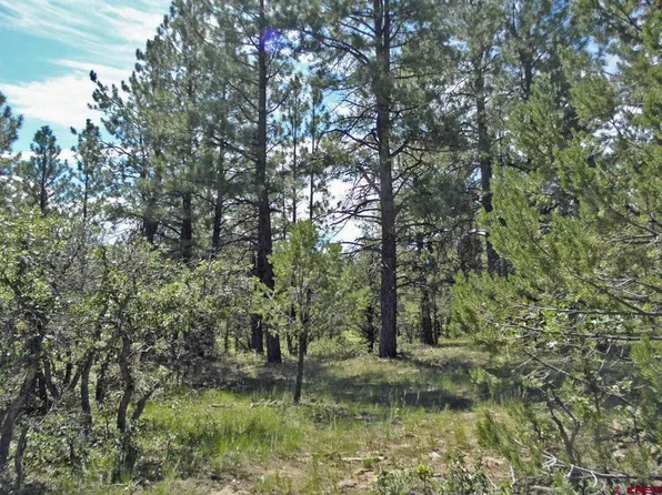 Lot 561 Marten Court, Ridgway, CO 81432