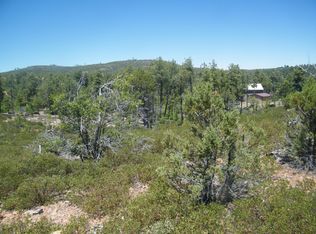 814 Wildcat Trl S, Show Low, AZ 85901