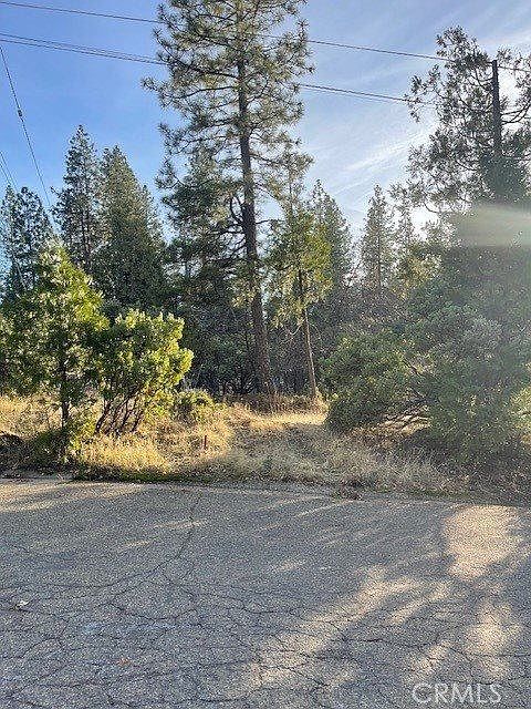 1st image of 6172 Shad Way