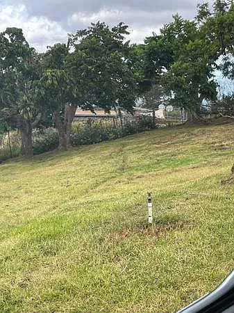 458 Naalae Rd — Photo 3