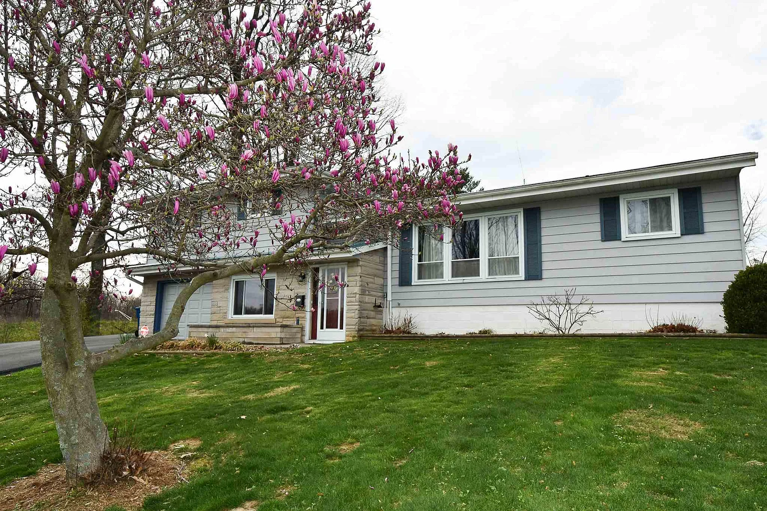3707 Oak Leaf Dr photo 1
