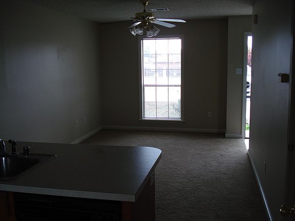 4010 Irby Drive, Apt 1019, Conway Arkansas