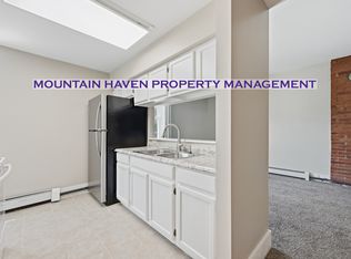 401 Rose St #3, Georgetown, CO 80444