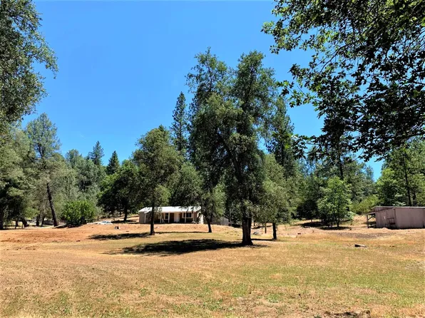 1159 Borrego Rd, Rail Road Flat, CA 95248