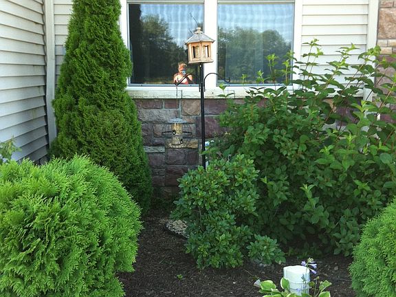 5th image of 28464 Golden Pond Trl