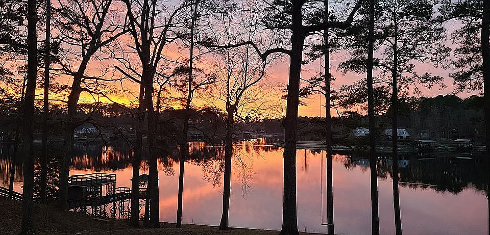 View from sunroom
