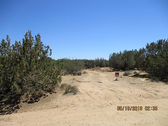 4th image of Ortega St