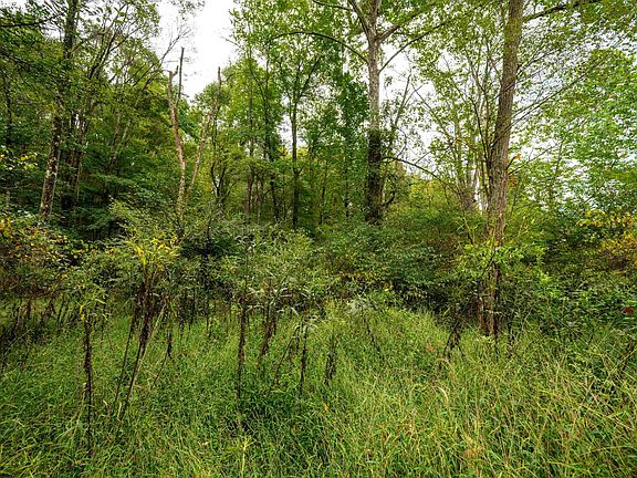 5th image of LOT 1 Saltlick Rd