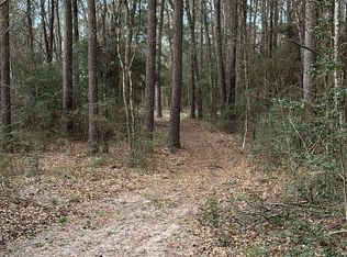 25904 Penguin St, Magnolia, TX 77355