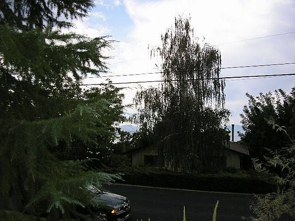 5th image of 3124 Marina View Dr
