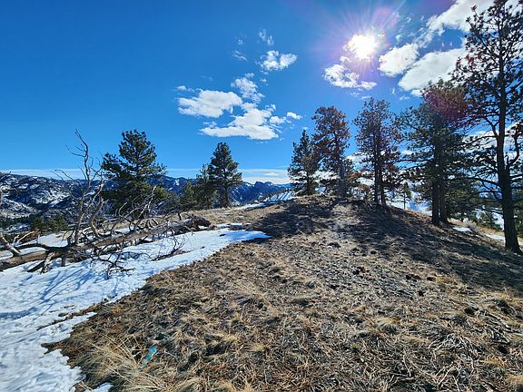 5th image of Big Pine Ln
