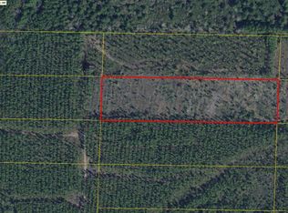 Joe Dugger Rd, Freeport, FL 32439