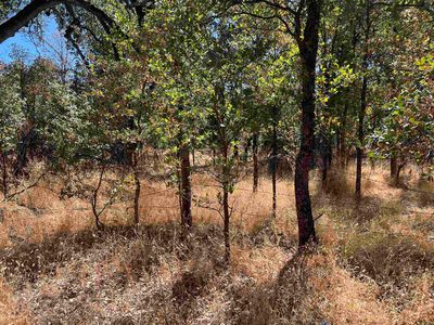 17235 Bowman Rd, Cottonwood, CA, 96022