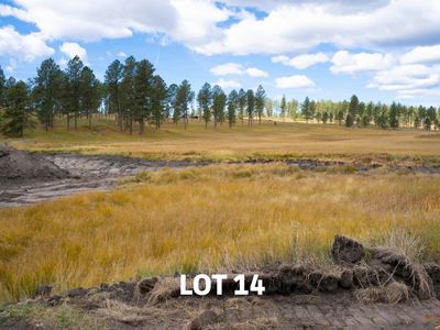 LOT 14 Other, Custer, SD, 57730
