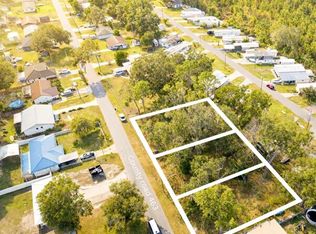 0 County Road 463 LOT 51, Lake Panasoffkee, FL 33538