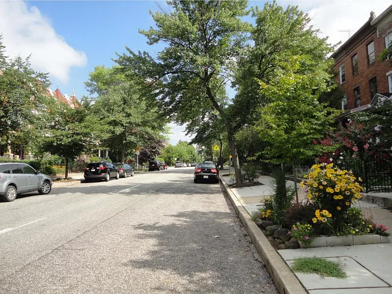 On Safe Tree-lined Street