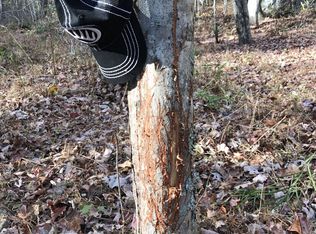 Dustin Creek Rd, Spring city, TN 37381