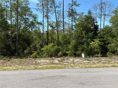 SW Anchor Blvd Lot 20, Dunnellon, FL, 34431