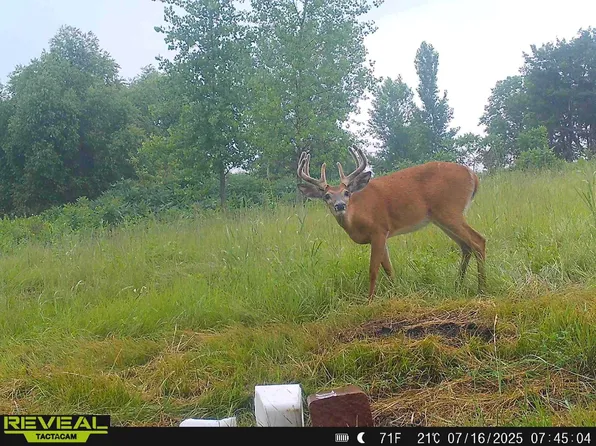 782nd Ave, Glenville, MN 56036