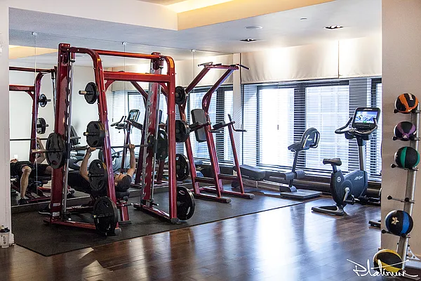 Rented by Platinum Properties | media 14