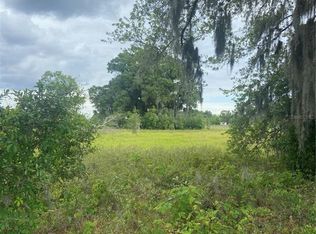 NE 100th Ave, Bronson, FL 32621