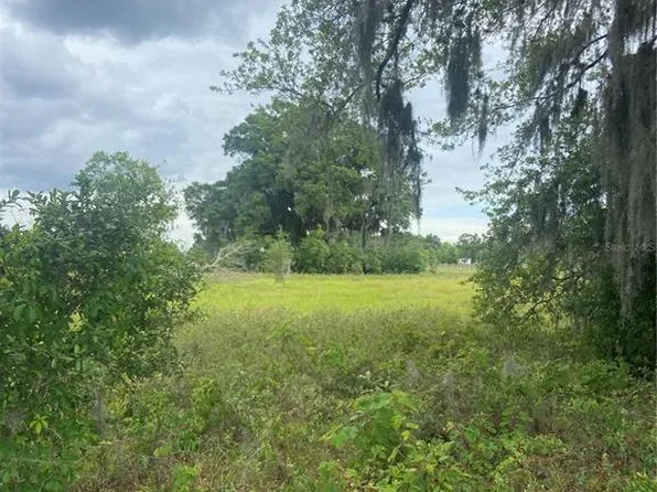NE 100th Ave, Bronson, FL 32621