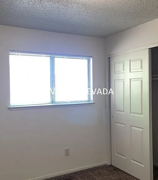 6675 Peppermint Dr — Photo 15